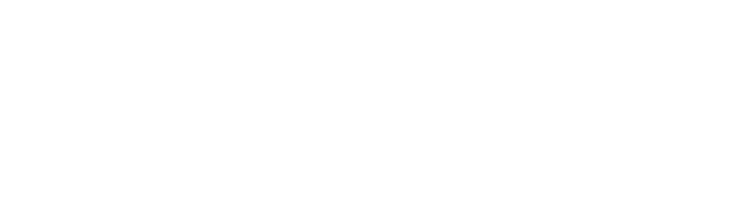 The Organization in the digital age